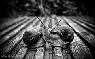 The Embrace by =MikeShawPhotography on deviantART